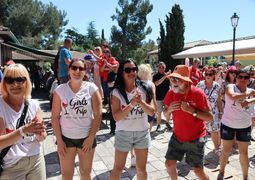 IMG 6894