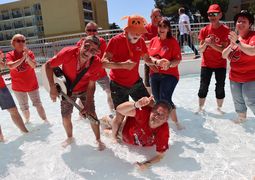 IMG 6684