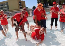IMG 6685
