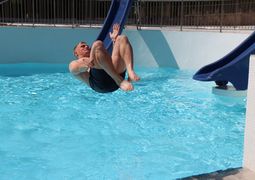IMG 7121